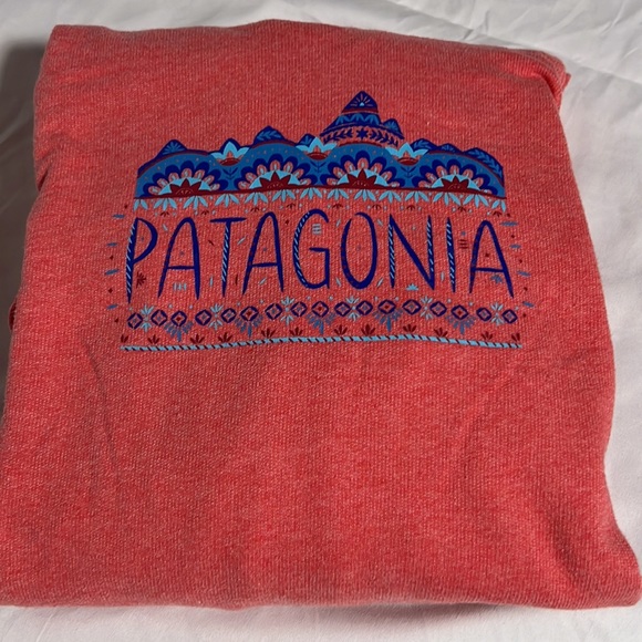 Patagonia Distressed Hoodie, Worn Wear, Women's size L - Picture 16 of 16